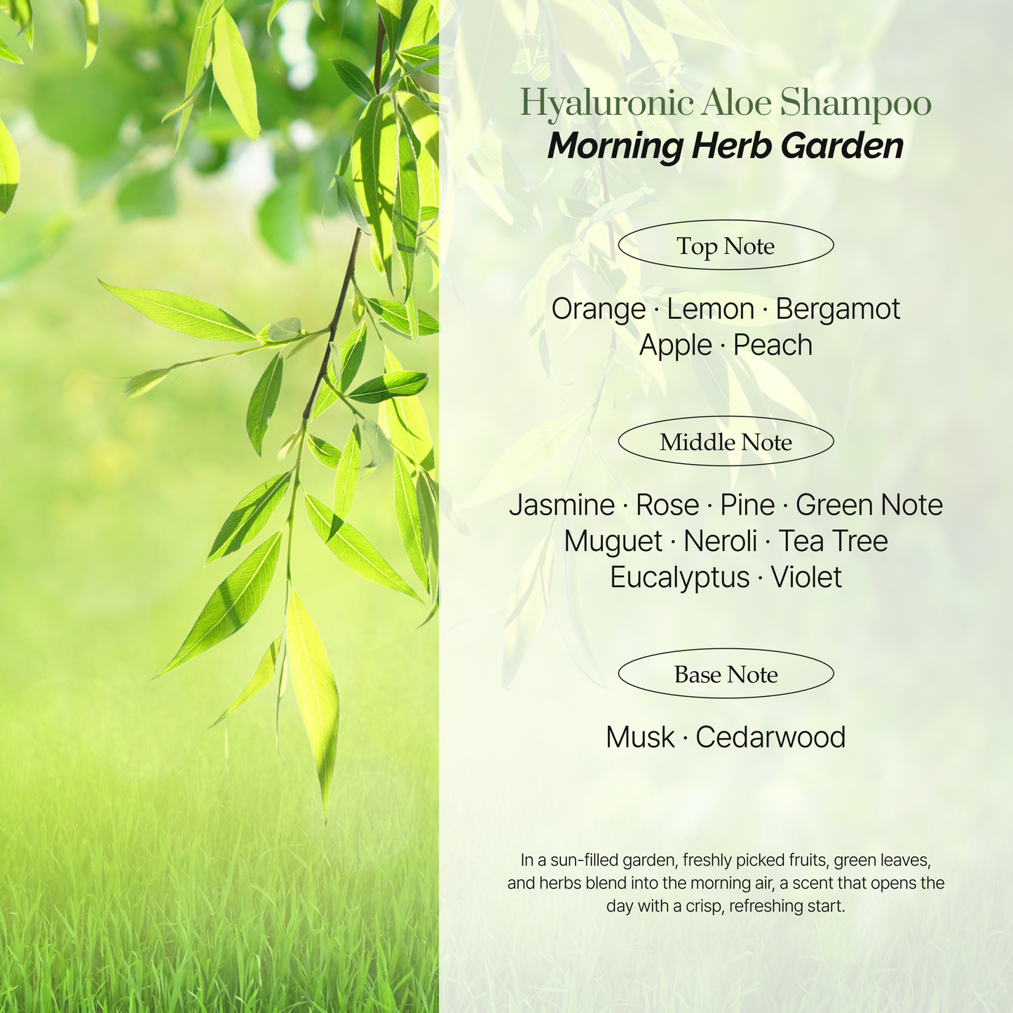ROOTONIX Hyaluronic Aloe Shampoo 500ml