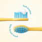 Minions Sonic Kids Battery Toothbrush